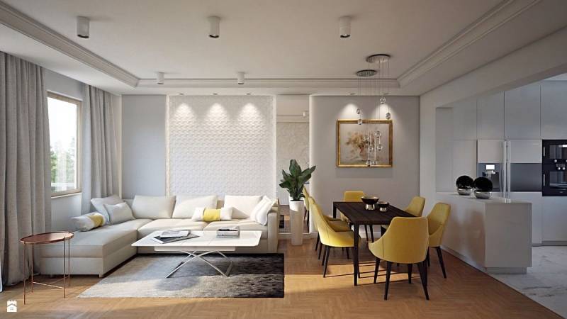 Grand séjour lumineux 